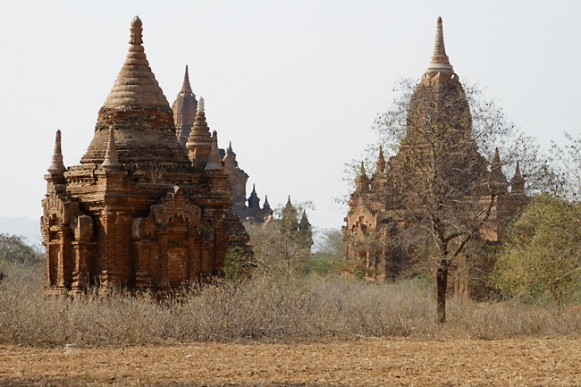 Pagan-Phaya Thon Zu-003